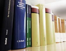 Ingrid Hofmann-Schmitz |  Wirtschaftspr�fer | Steuerberater |  Pr�fer f�r Qualit�tskontrolle | Gemeinn�tzigkeitsrecht |  Euskirchen